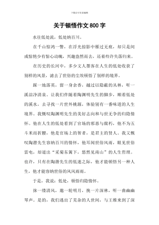 关于顿悟作文800字