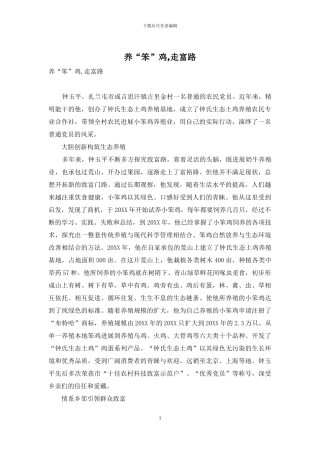 养“笨”鸡-走富路