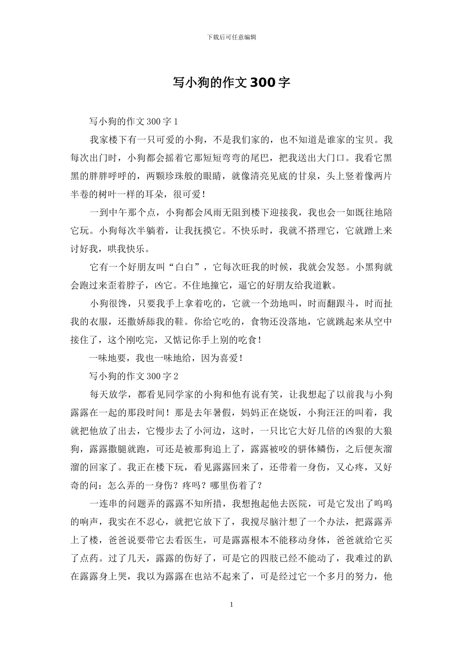 写小狗的作文300字_第1页