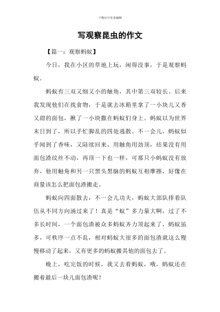 写观察昆虫的作文