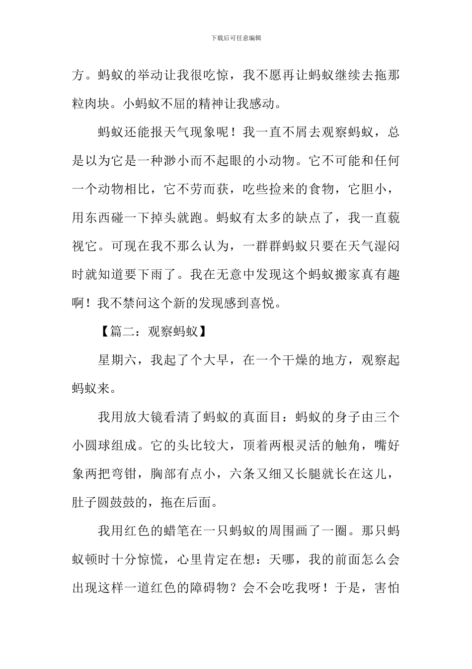 写蚂蚁的作文-2_第2页