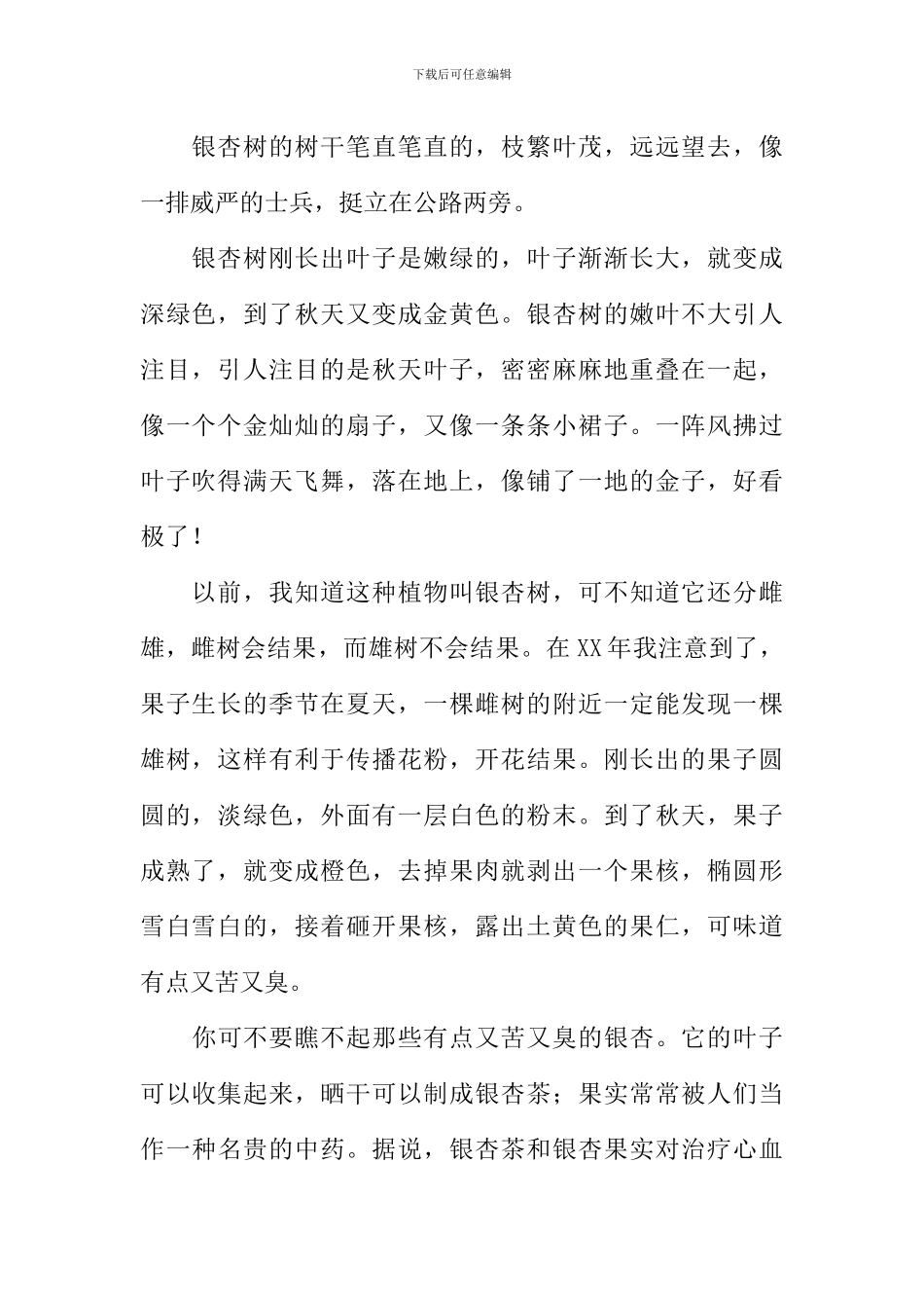 写银杏树的作文_第2页