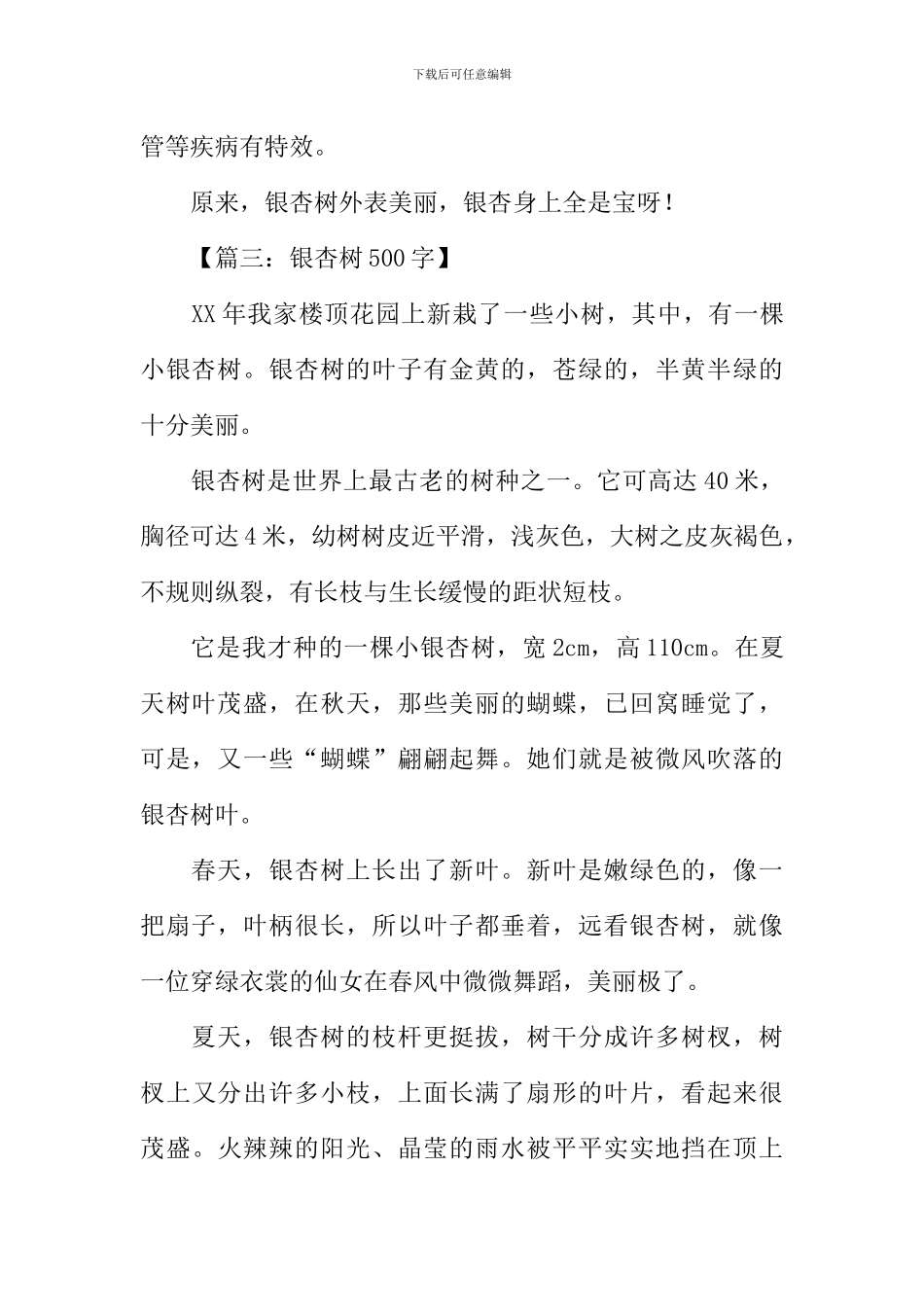 写银杏树的作文_第3页
