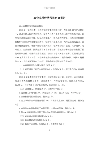 农业农村经济考核自查报告