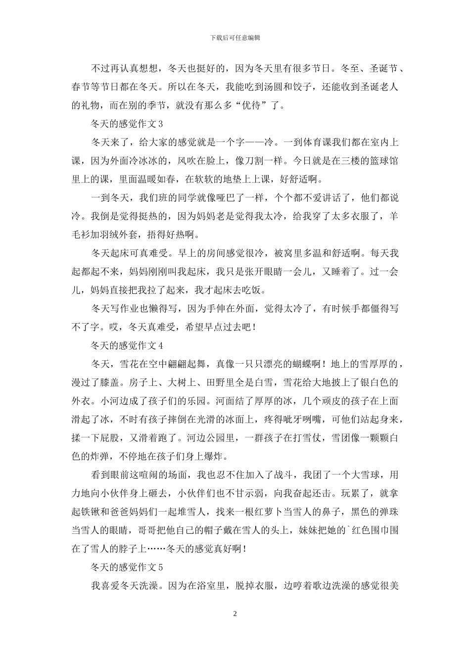 冬天的感觉作文5篇_第2页