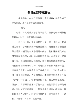 冬日的迎春花作文