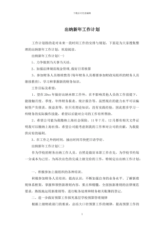 出纳新年工作计划