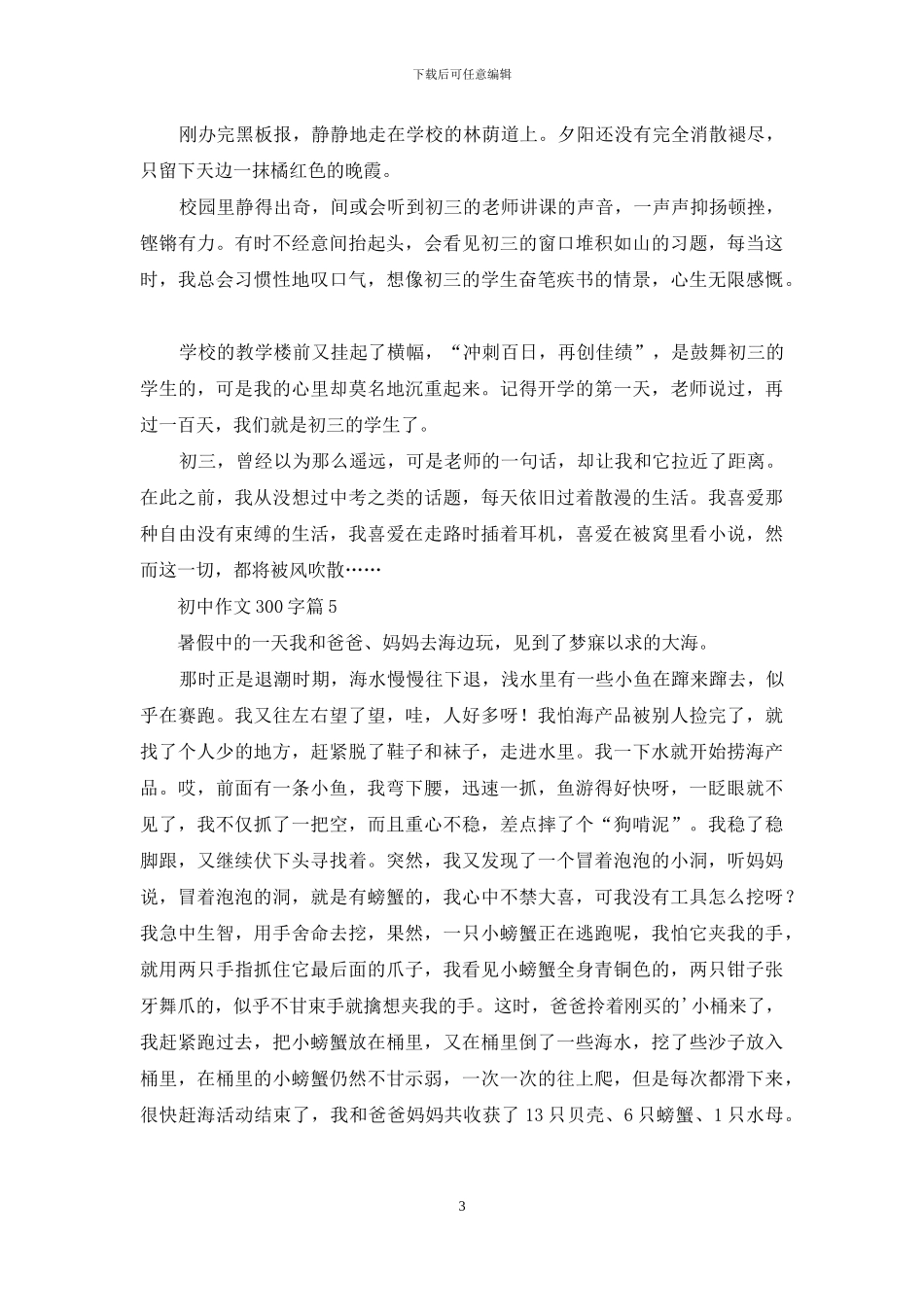 初中作文300字7篇-1_第3页