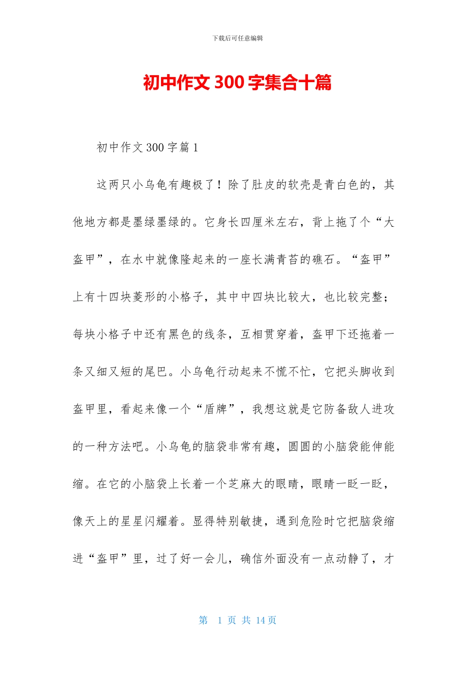 初中作文300字集合十篇_第1页