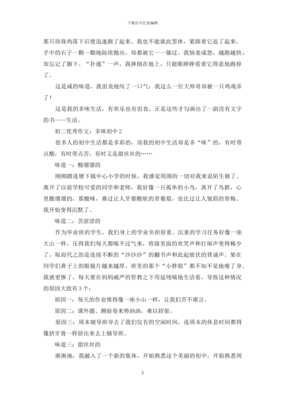 初二优秀作文：多味初中_第2页