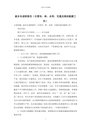 副乡长述职报告