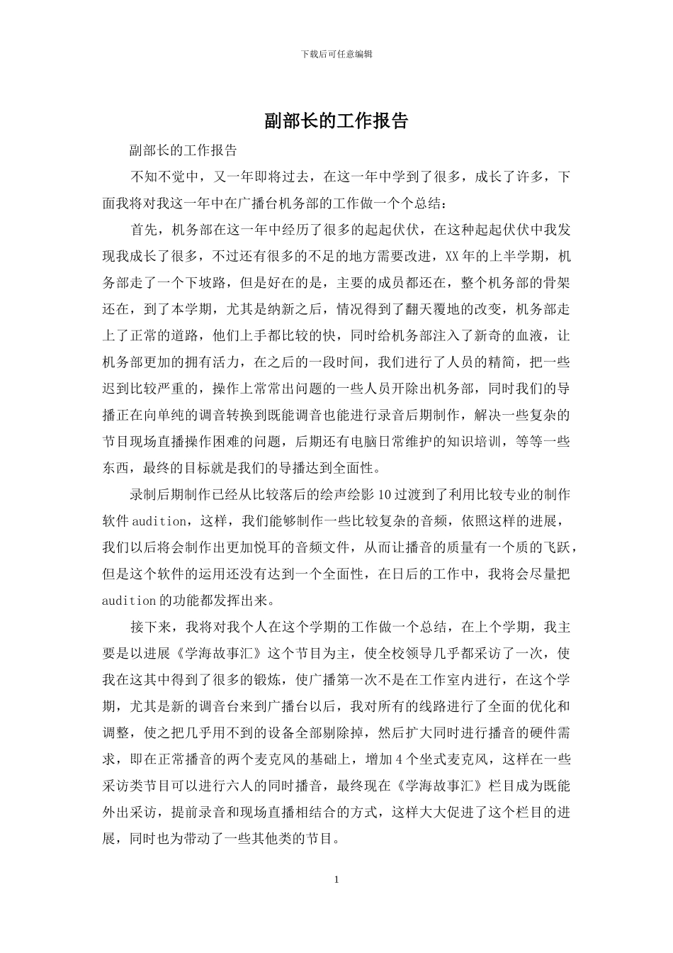 副部长的工作报告_第1页