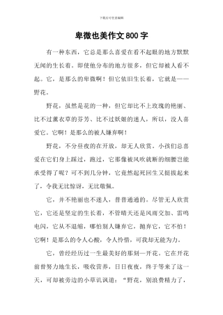 卑微也美作文800字
