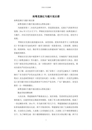 南粤党旗红专题片观后感