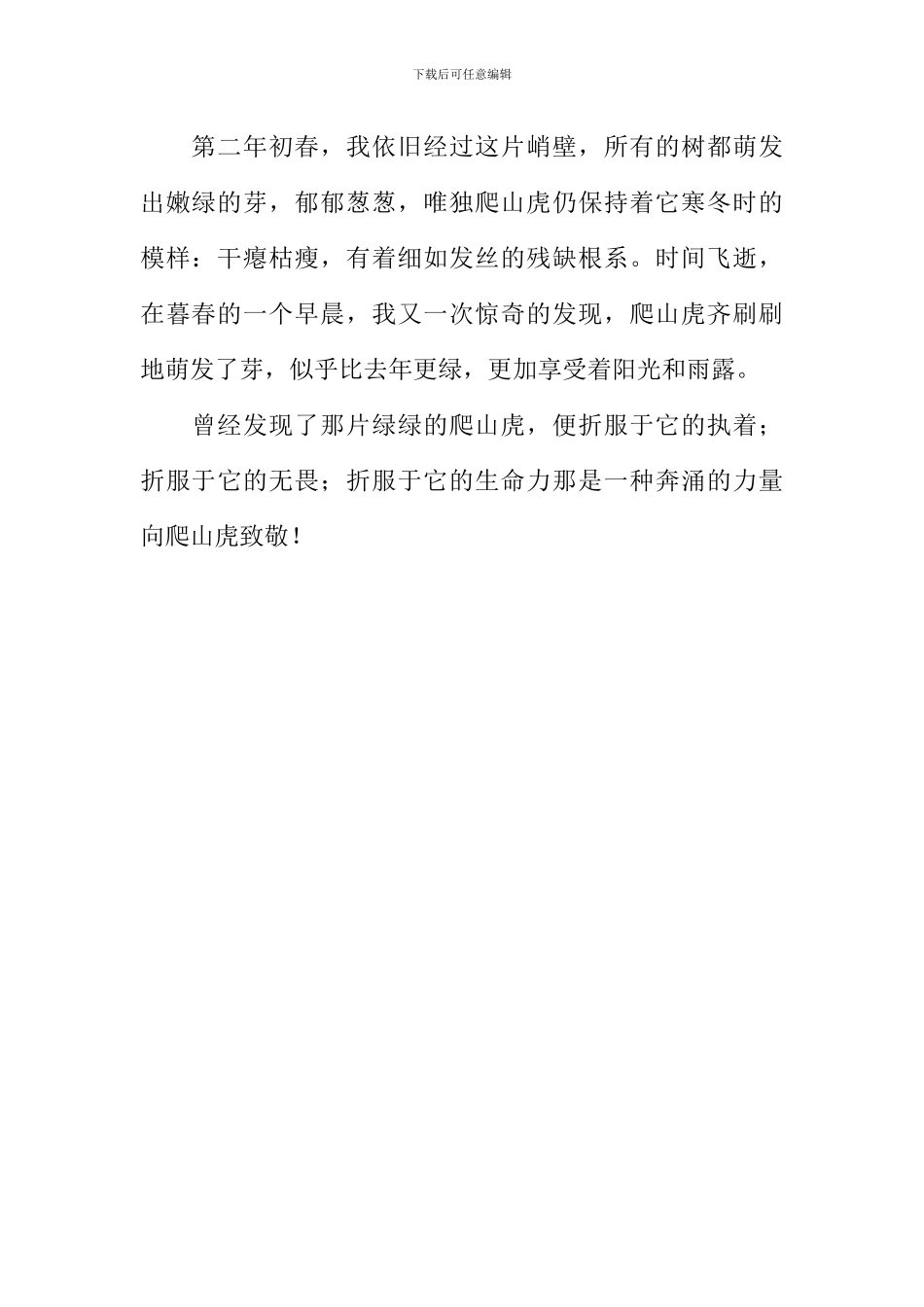 发现爬山虎作文600字_第2页
