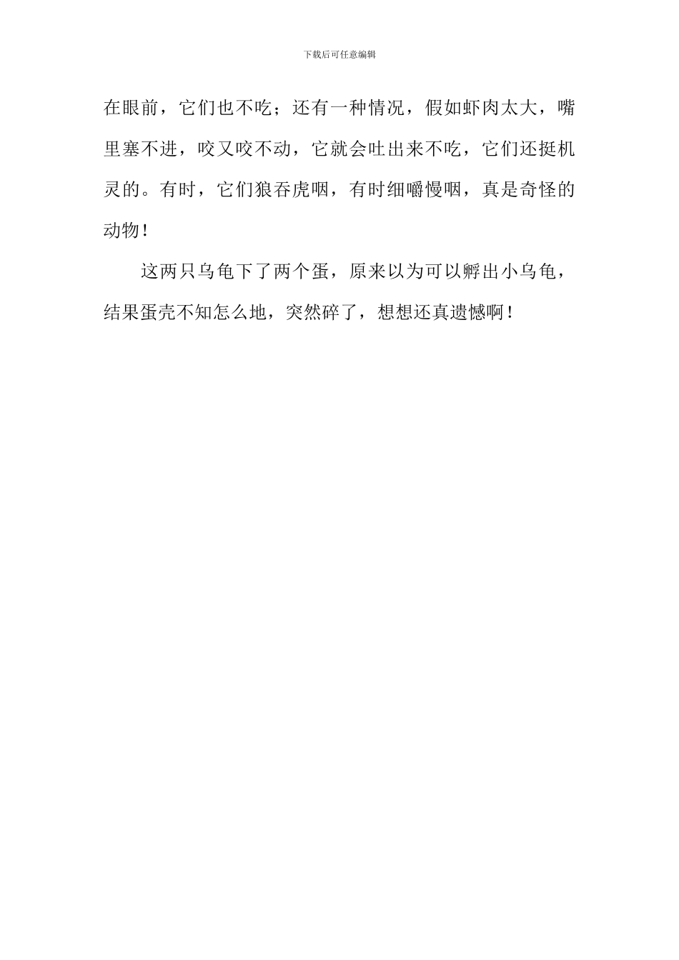 古怪的乌龟作文500字_第2页