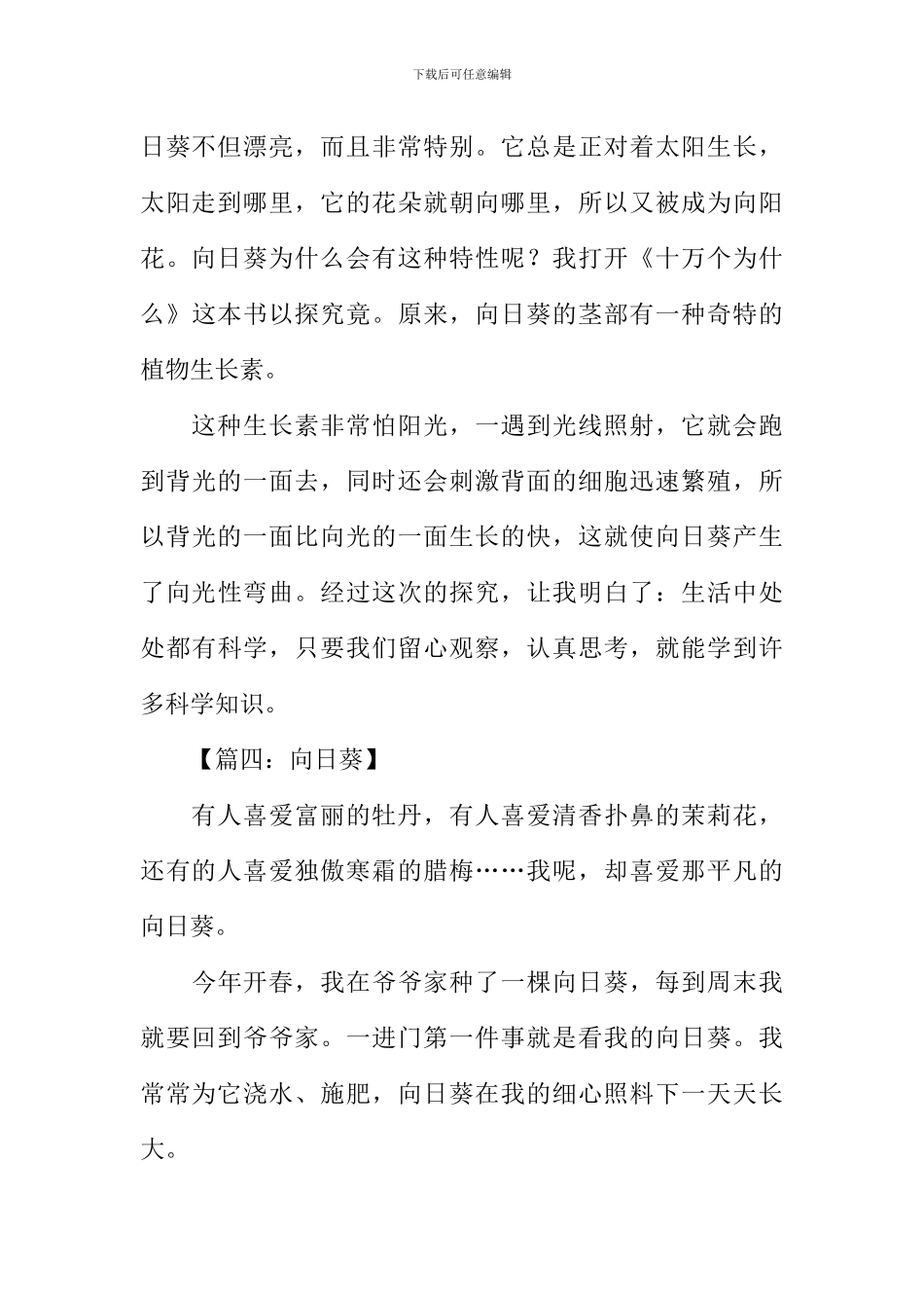 向日葵作文300字_第3页