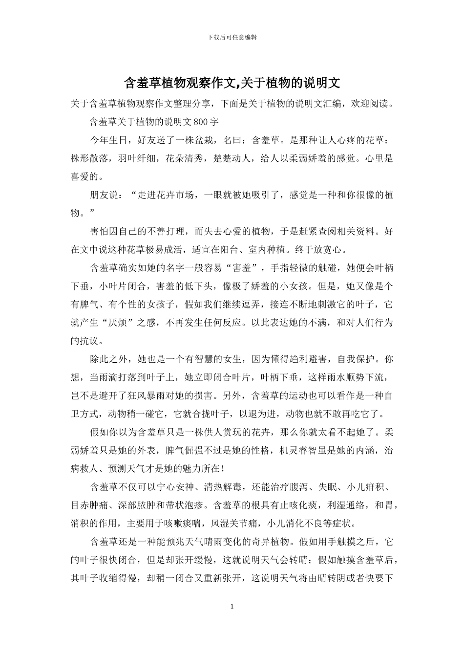 含羞草植物观察作文-关于植物的说明文_第1页