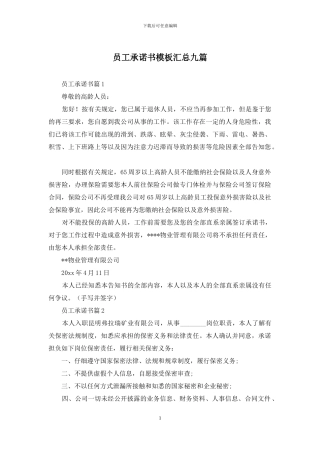 员工承诺书模板汇总九篇