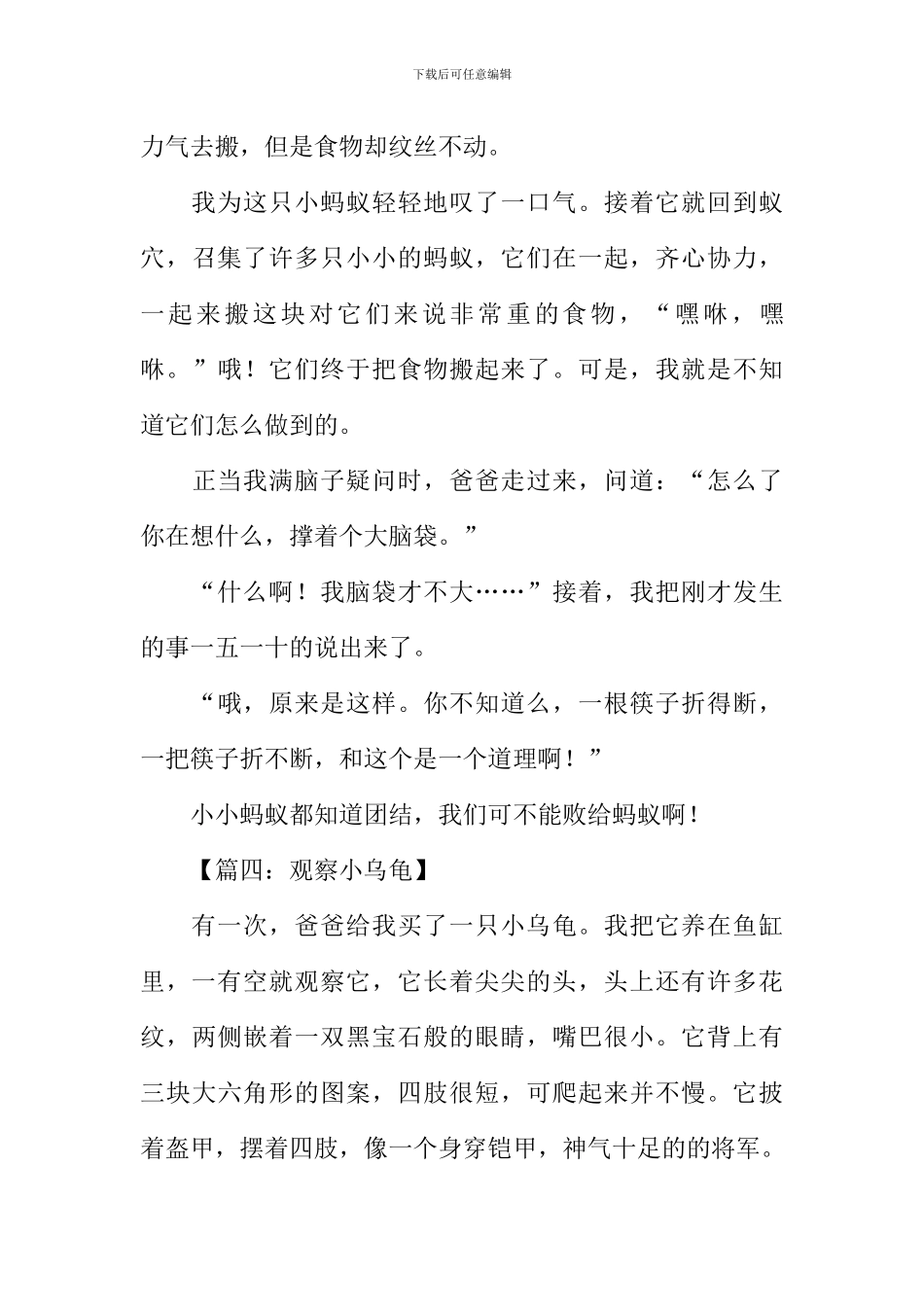 四年级观察作文300字_第3页