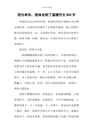 因为有你-我体会到了温暖作文800字