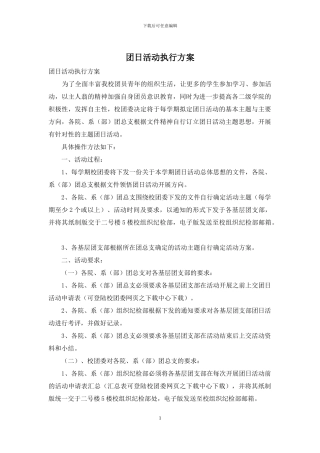 团日活动执行方案