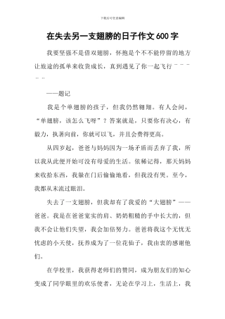 在失去另一支翅膀的日子作文600字