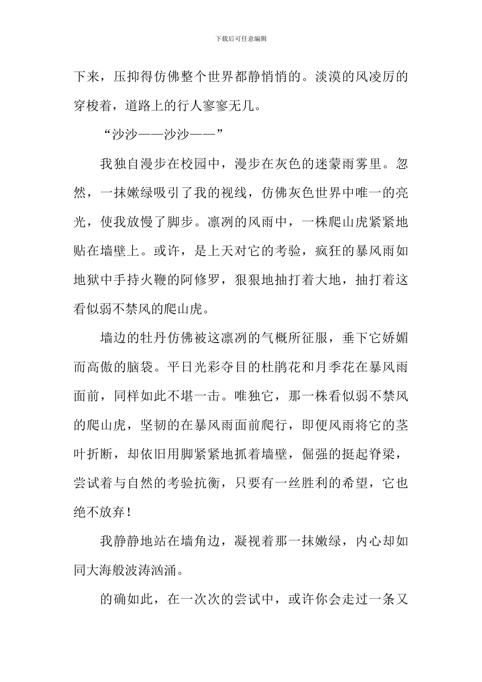 在尝试中成长作文_第3页