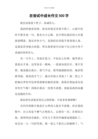 在尝试中成长作文500字-2