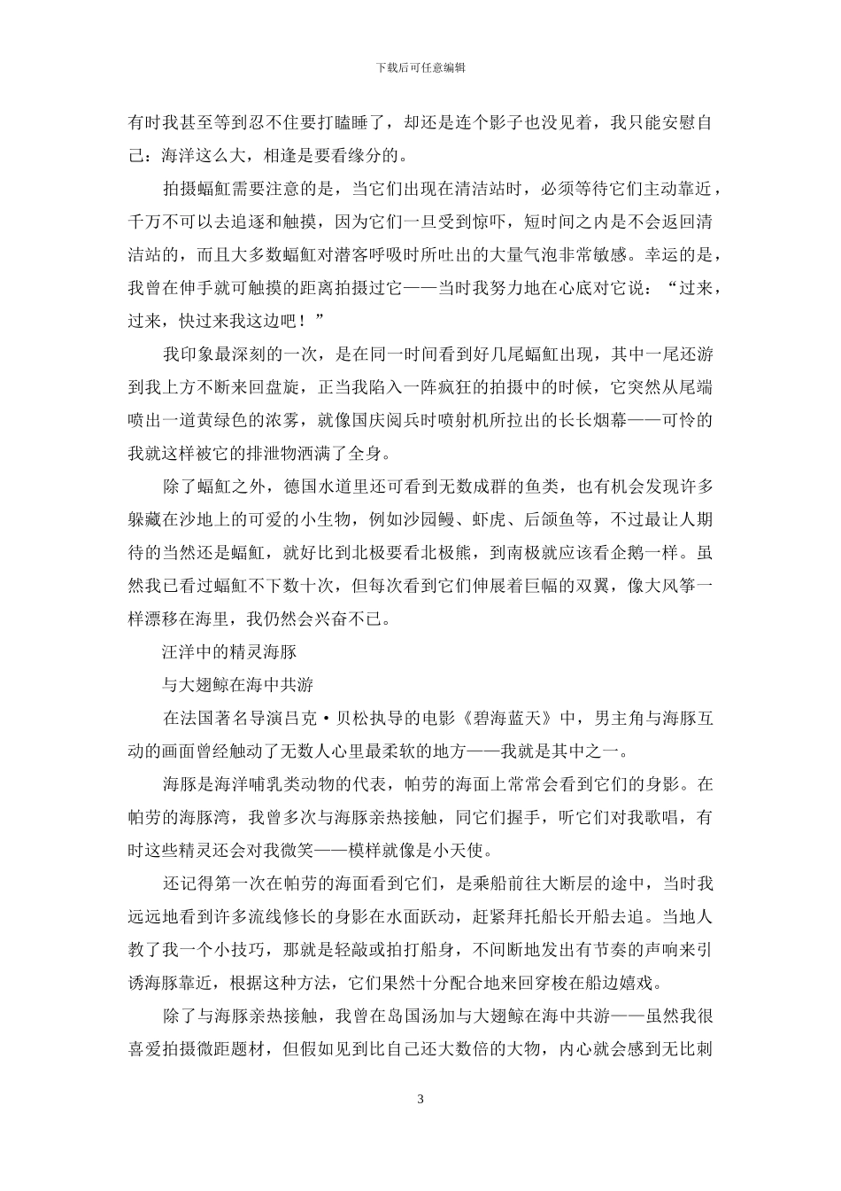 在海底世界飞行拍摄潜入深蓝-和鲸鱼拥抱-与海豚共舞_第3页