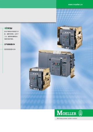 Moller(金钟穆勒)空气断路器IZM58
