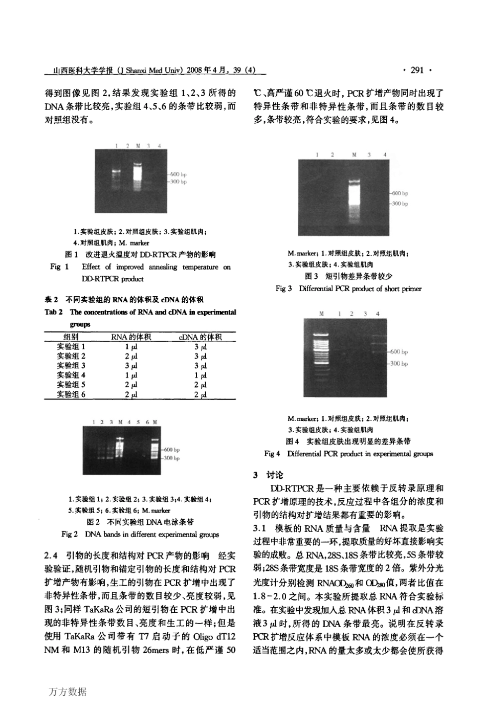 mRNA差异显示方法的建立及条件优化_第3页