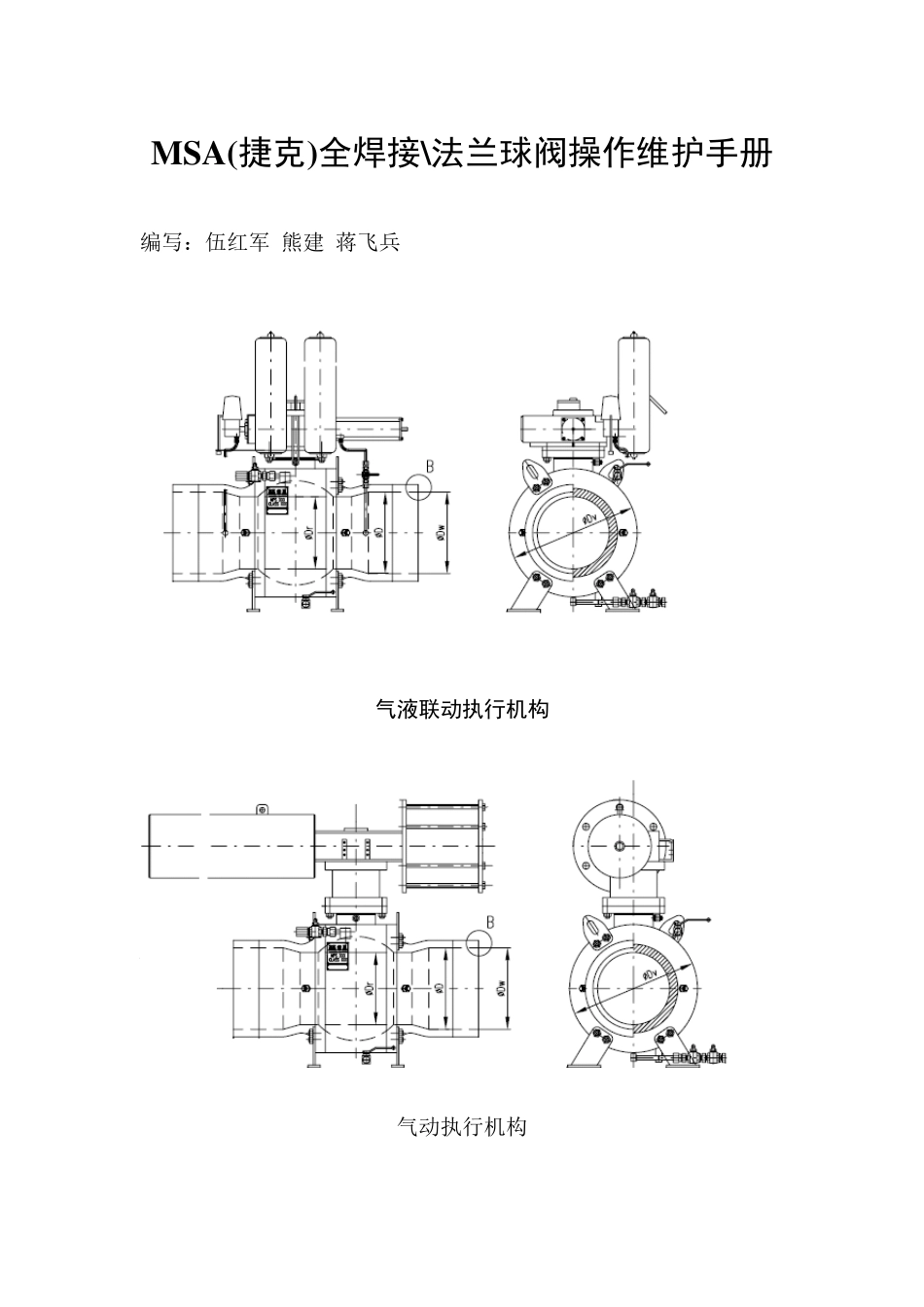 MSA球阀操作维护_第1页