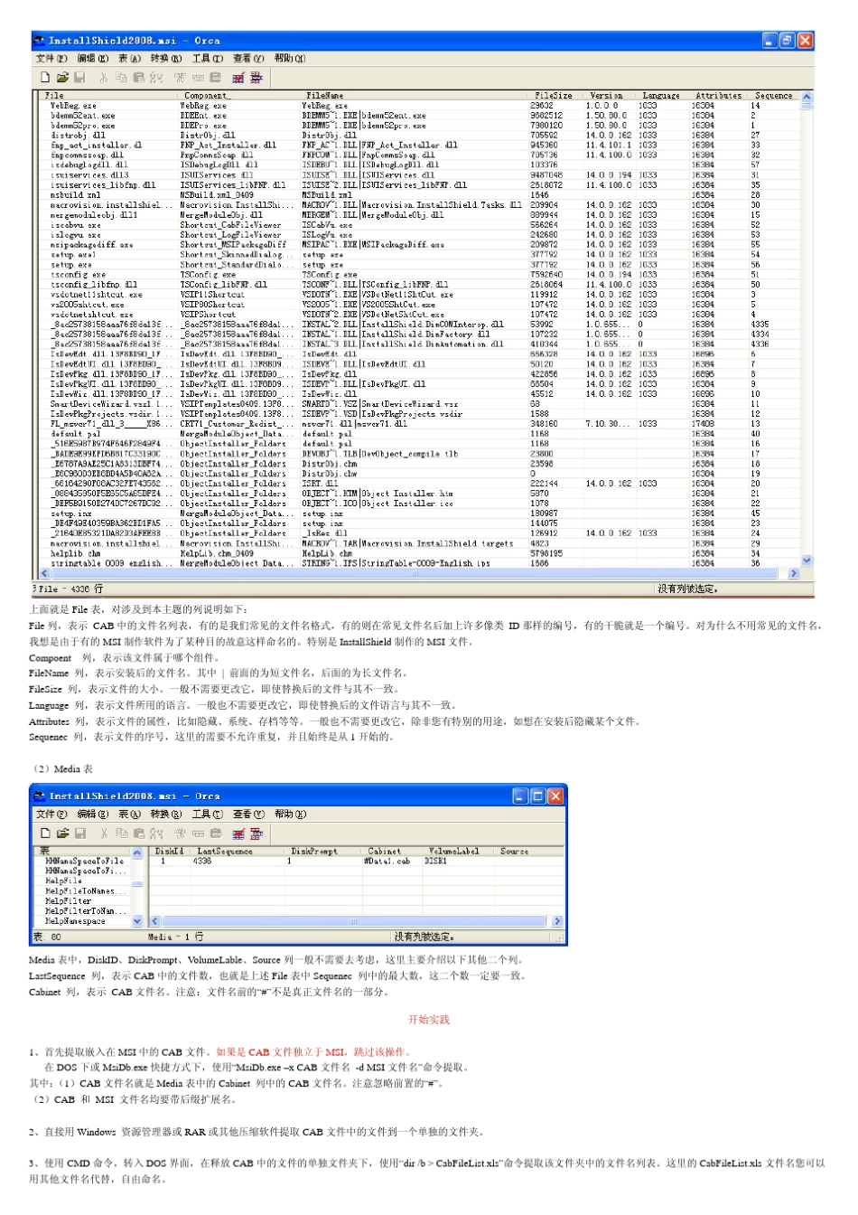 MSI安装程序中的文件替换_第2页