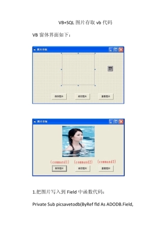 VB+SQL数据库图片存取