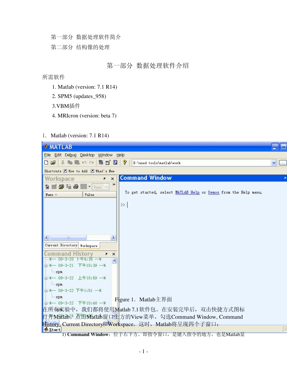 VBM处理流程PDF_第1页
