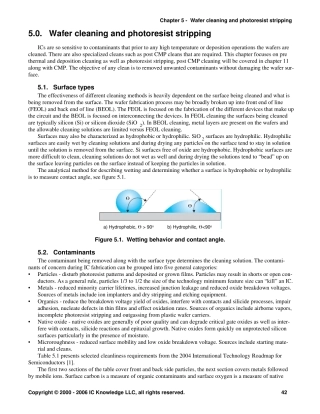 WaferCleaningandPRStripping