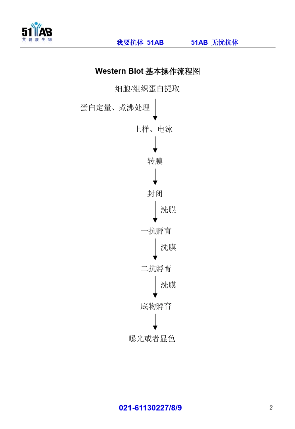 WB实验技术手册_第3页
