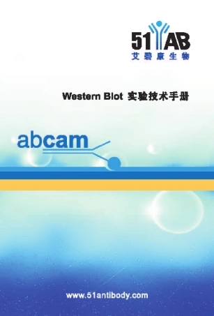 WB实验技术手册