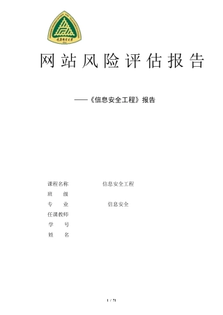 Web风险评估报告