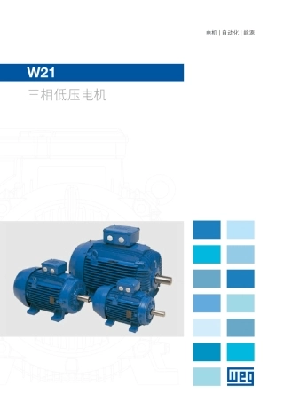 WEGW21系列三相低压电机