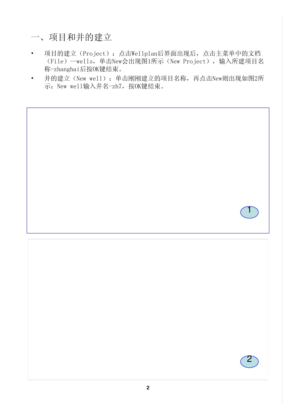 WELLPLANManual_第2页