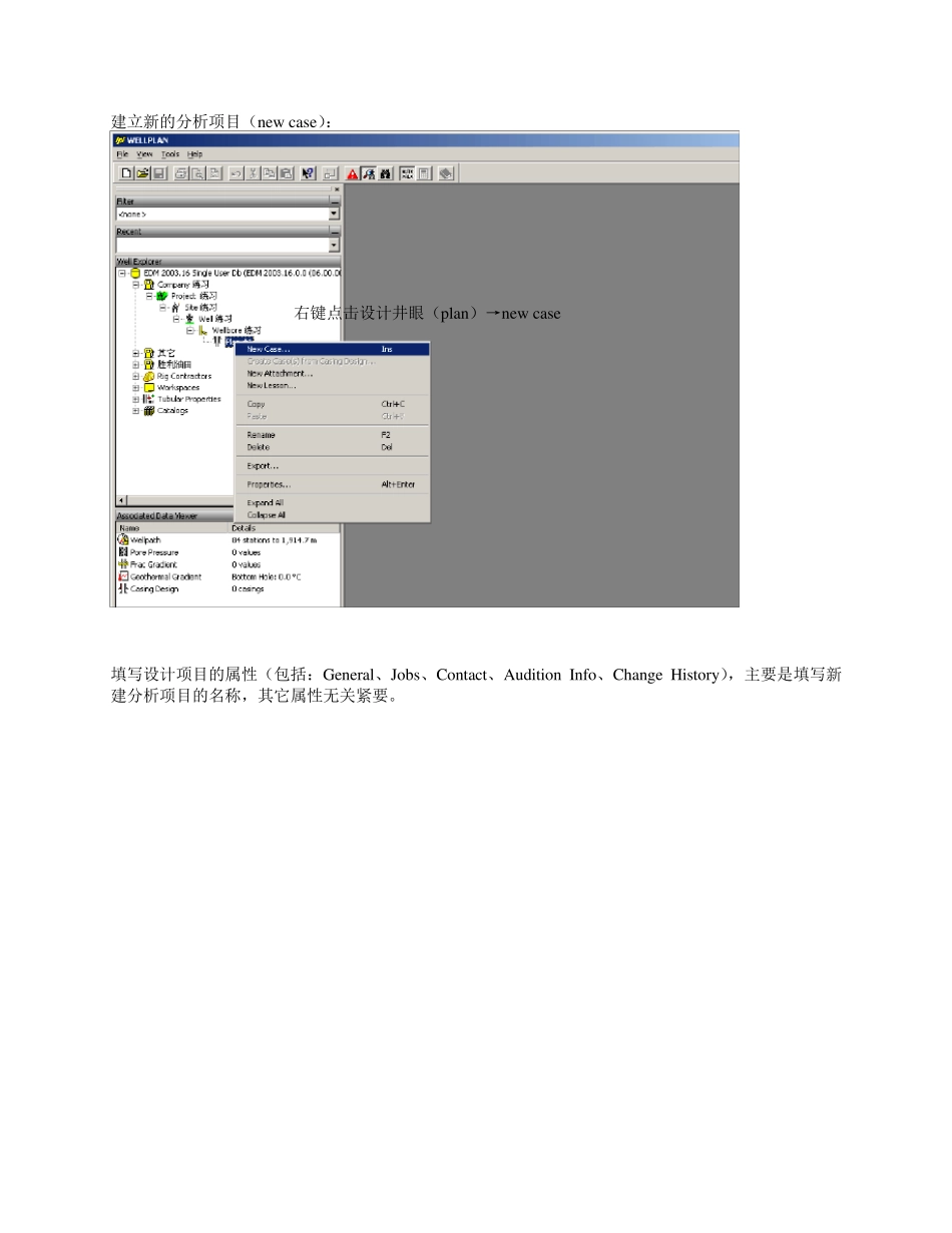 wellplanTorqueDrag操作_第3页