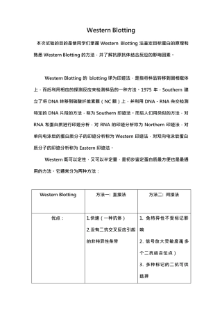 WesternBlotting实验报告