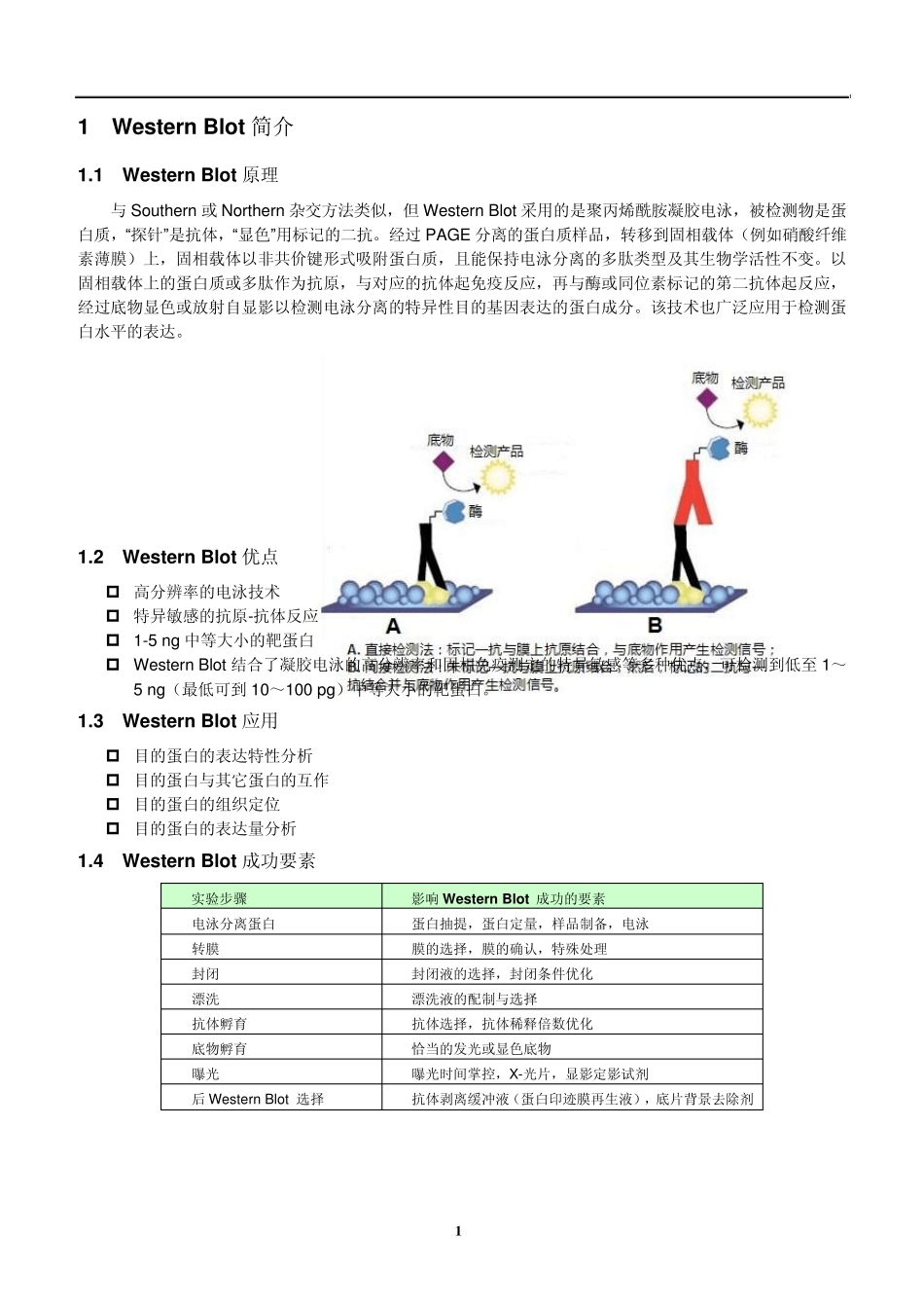 westernblot(免疫印迹)handbook_第3页