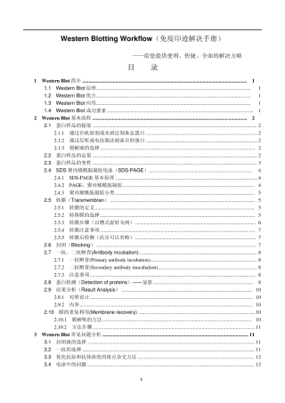 westernblot(免疫印迹)handbook