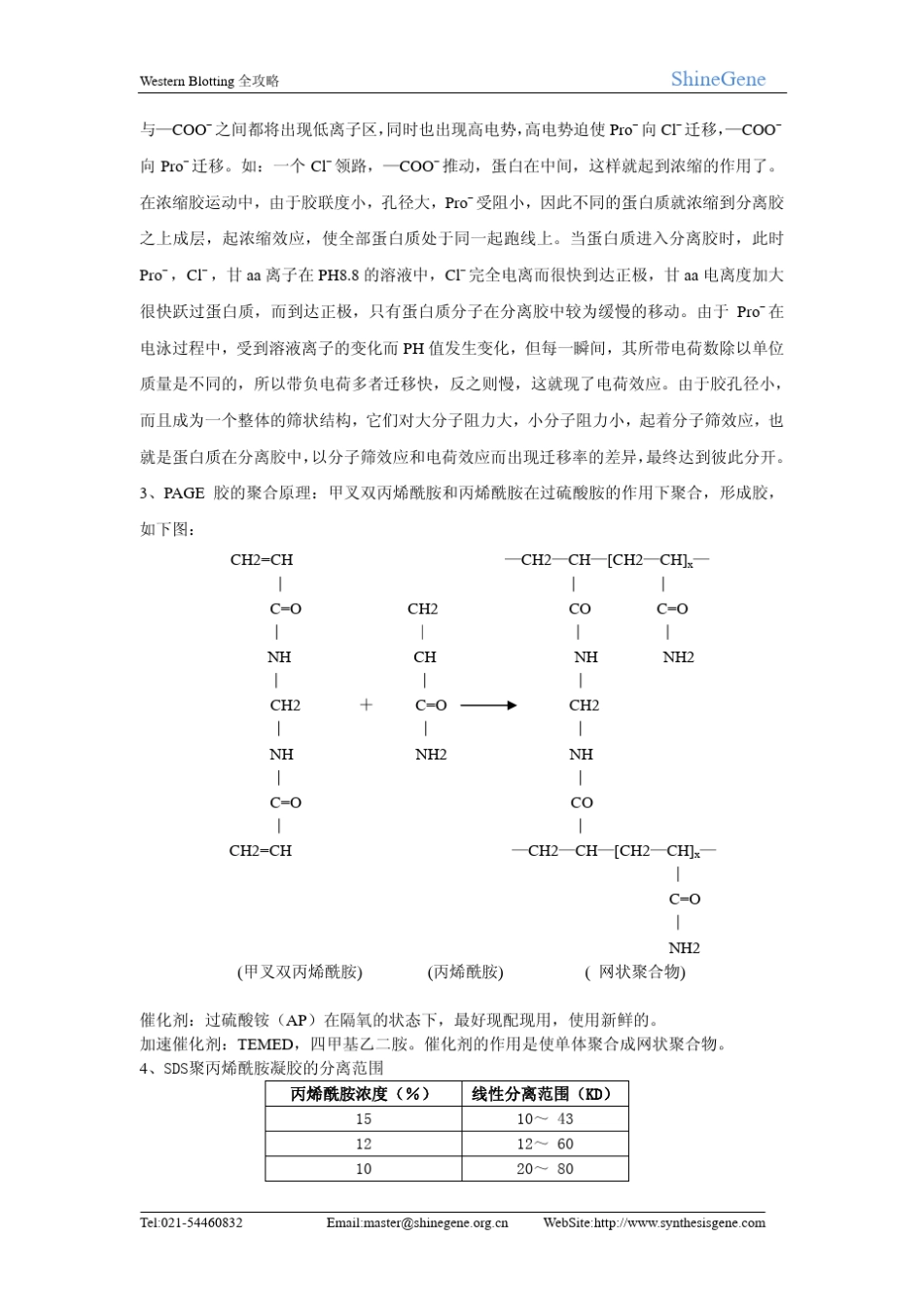 westernblot全攻略_第2页