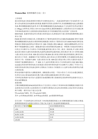 WesternBlot原理和操作方法