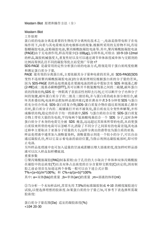 WesternBlot原理和操作方法讲解