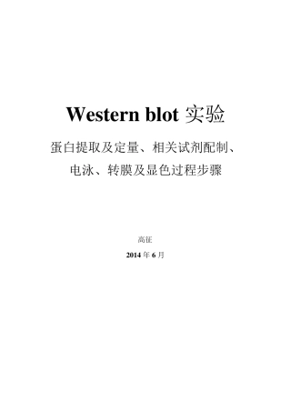 Westernblot步骤实验蛋白提取及定量、相关试剂配制、电泳转膜及显色过程